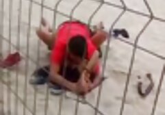 森の犬髭した破壊の中空部の貧困のサイズ 女性 用 アニメ 動画